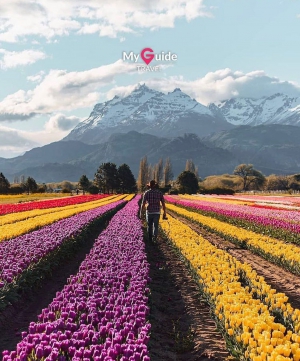 Hoping for the Best in 2021