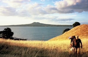 KAYAKING MADE EASY ON AUCKLAND HARBOUR