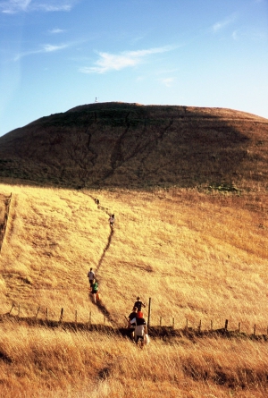 KAYAKING MADE EASY ON AUCKLAND HARBOUR