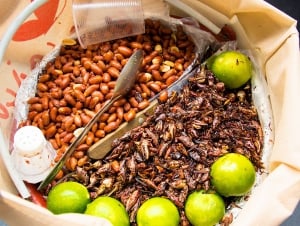 Mexico Travel Guide for Food Lovers