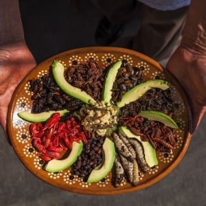 Mexico Travel Guide for Food Lovers