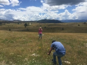 News! Global Child TV is Promoting Montenegro Worldwide