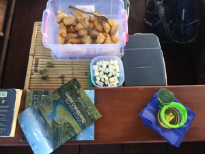 News! Global Child TV is Promoting Montenegro Worldwide