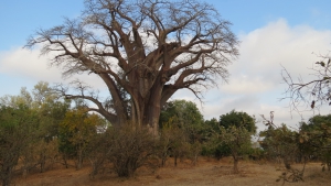 Our Memorable Trip To Chilo Gorge Safari Lodge