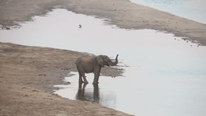 Our Memorable Trip To Chilo Gorge Safari Lodge