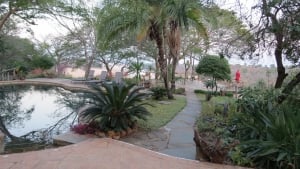 Our Memorable Trip To Chilo Gorge Safari Lodge