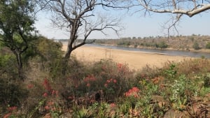 Our Memorable Trip To Chilo Gorge Safari Lodge
