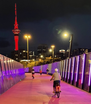 Power to the Pedal: Auckland by e-bike