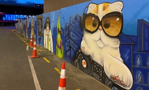 Power to the Pedal: Auckland by e-bike