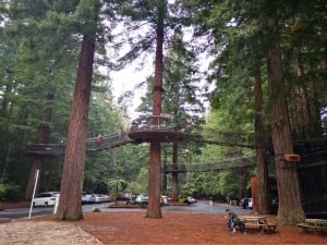 Rotorua Redwoods Treewalk