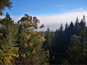 The Quarry Walk Lookout