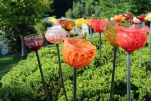 Lava Glass - Rotorua To Taupo