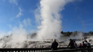 Te Puia - Rotorua To Taupo