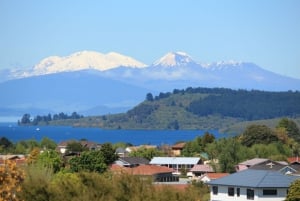Lake Taupo - Rotorua To Taupo