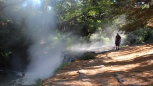 Kerosene Creek - Rotorua To Taupo