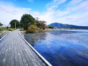 The New Rotorua Lakefront Development