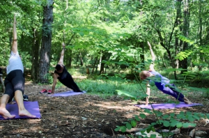 The Next Level of Vacationing - LIVE Travel Massive Montenegro