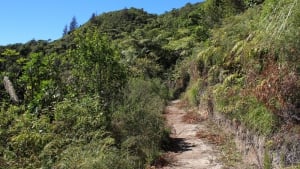 The Tarawera Trail