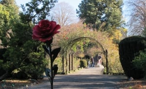 Top 10 Romantic Things To Do In Christchurch