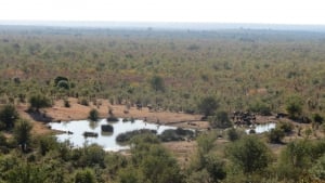 Victoria Falls Safari Lodge