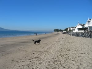 WALK – MILFORD TO DEVONPORT