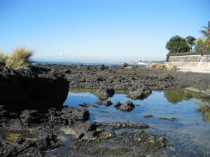 WALK – MILFORD TO DEVONPORT