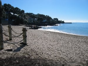 WALK – MILFORD TO DEVONPORT
