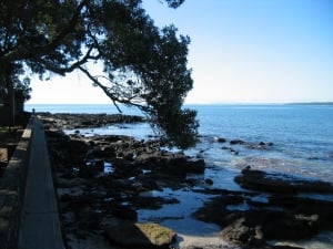 WALK – MILFORD TO DEVONPORT