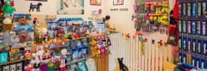 Happy Tails Dog Grooming Marbella