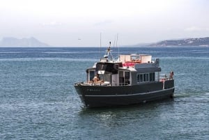 Marbella Party Boat
