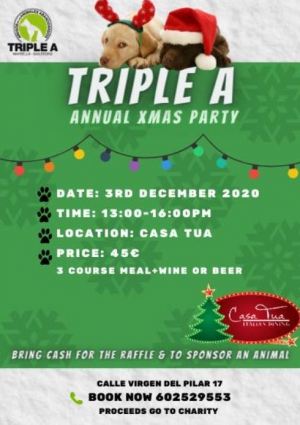 Triple A Annual Christmas Party at Casa Tua