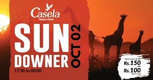 Casela Sundowner feat. Zulu and Jason Lily & The Minimalist