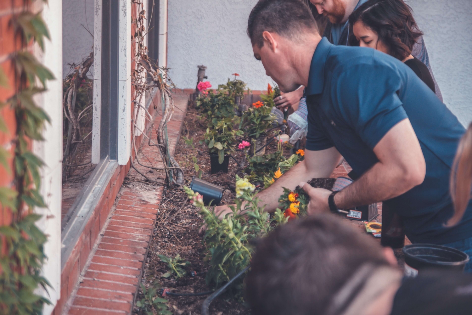 gardening