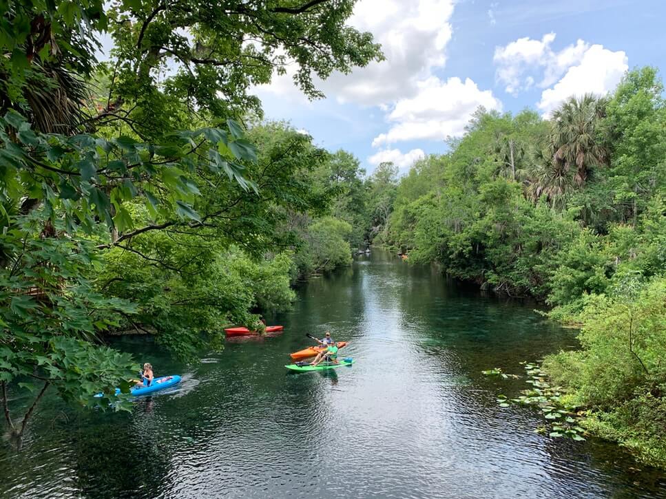 Kayaking in Sussex