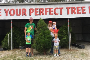 Christmas Tree Farm Mornington Peninsula