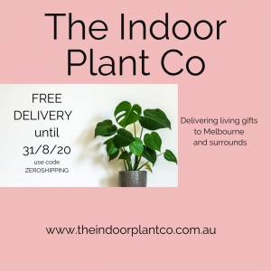 The Indoor Plant Co - <br />FREE DELIVERY ACROSS MELBOURNE