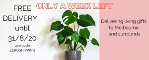 The Indoor Plant Co - <br />FREE DELIVERY ACROSS MELBOURNE