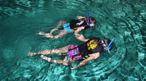 Cancun Adventure - Nado con tortugas en la bahía de Akumal