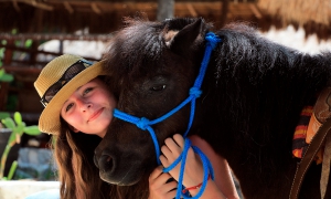 Horseback Riding Tour through the Riviera Maya Jungle