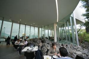 Museo Universitario de Arte Contemporáneo