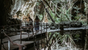 Private Cenote