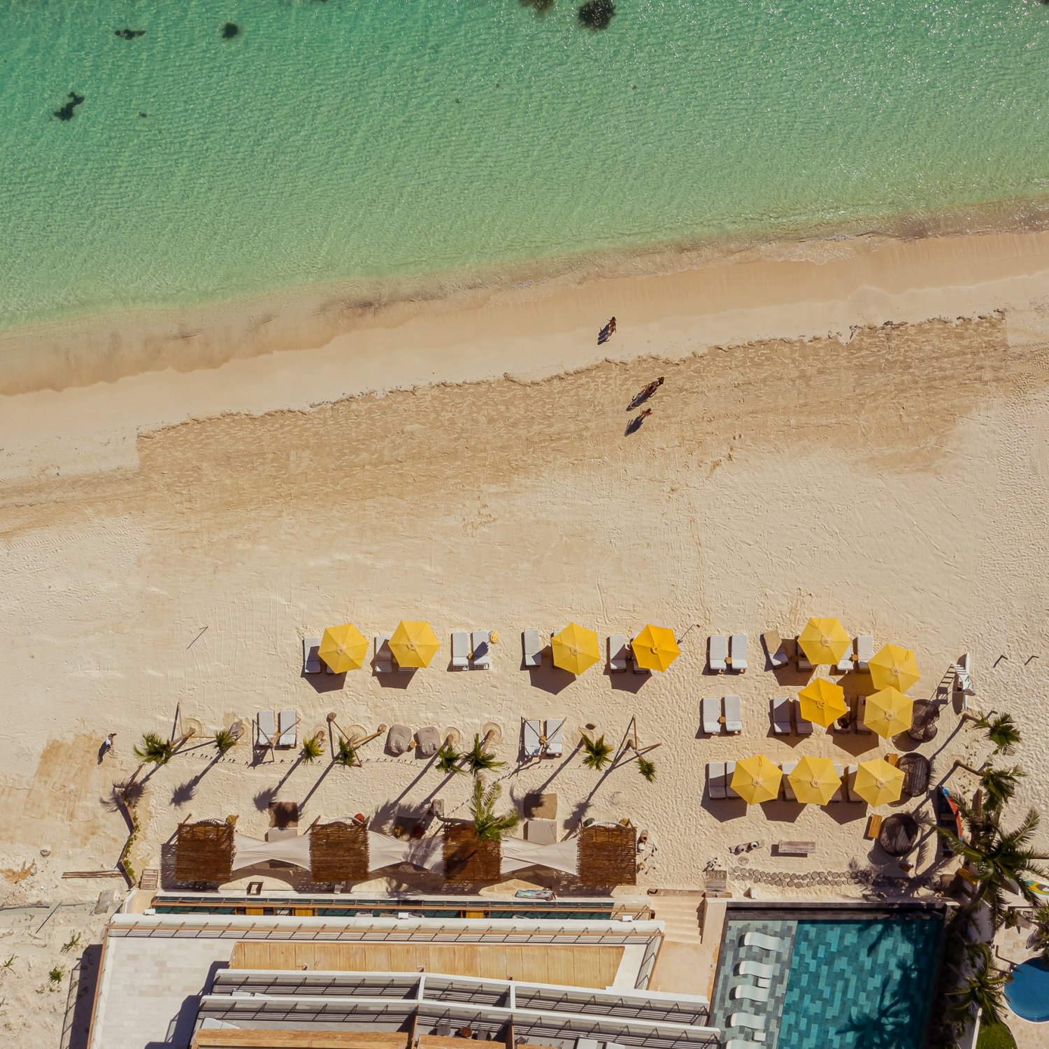 Hoteles all inclusive en Playa del Carmen que no te puedes perder