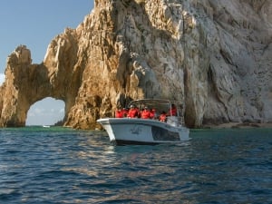 Whale Watching Experience in Cabo San Lucas