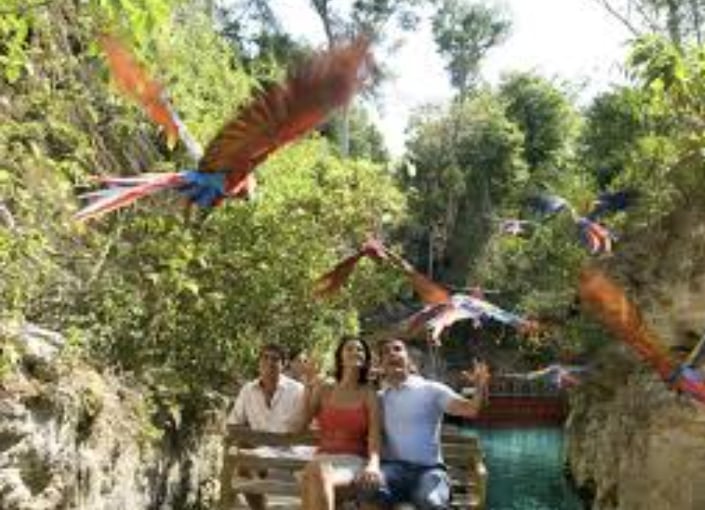 Super fun activities for kids in the Riviera Maya