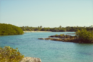 Yal Kú Lagoon & Cenote