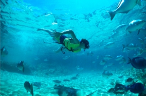 Zip & Snorkel
