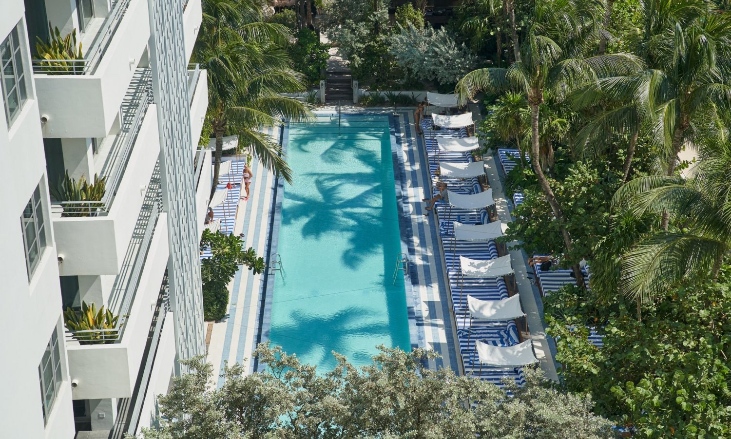 Your Guide to Miami's Best Pool Parties