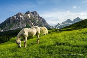 Nature Parks in Montenegro