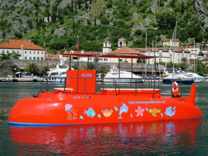Special Tours: Kotor Panorama and Underwater Experience