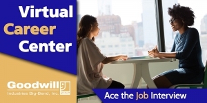 Ace the Job Interview 